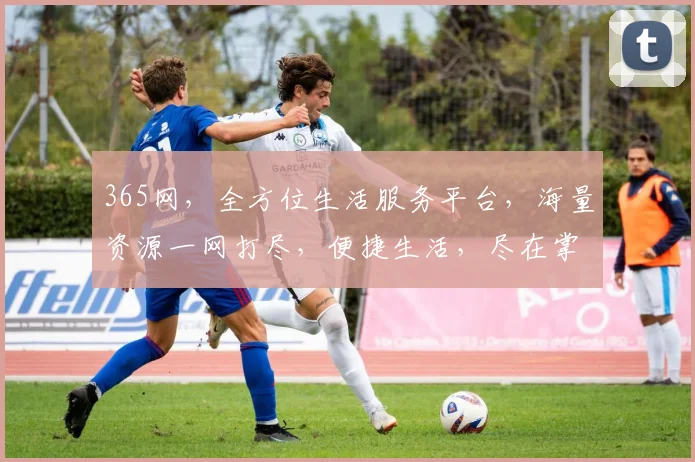 365网，全方位生活服务平台，海量资源一网打尽，便捷生活，尽在掌握