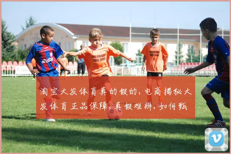 淘宝大发体育真的假的,电商揭秘大发体育正品保障,真假难辨,如何甄别