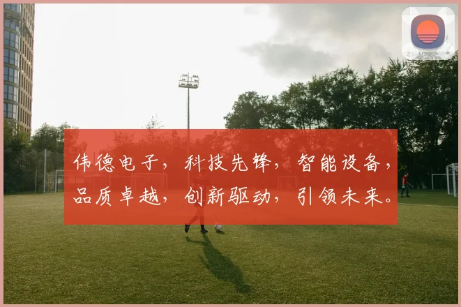 伟德电子，科技先锋，智能设备，品质卓越，创新驱动，引领未来。
